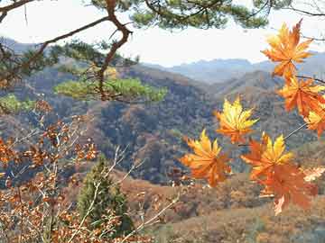 九游体育登录地址,梅西抢门将发球技巧视频—九游体育登录地址280.a156b157c160fgy.167sdA