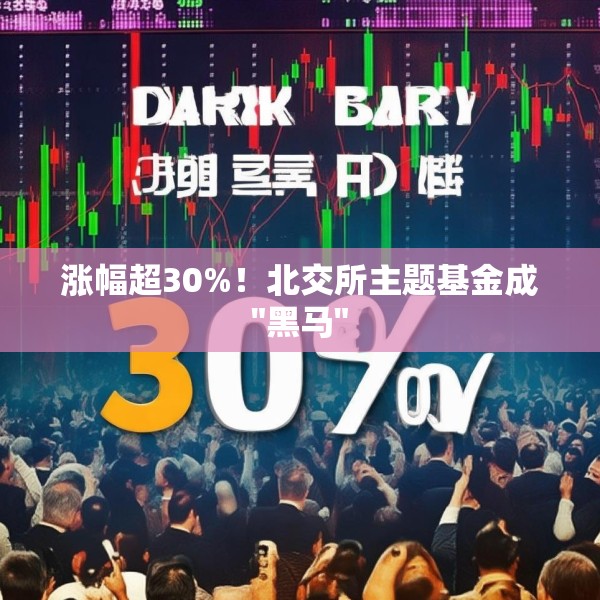 涨幅超30%！北交所主题基金成