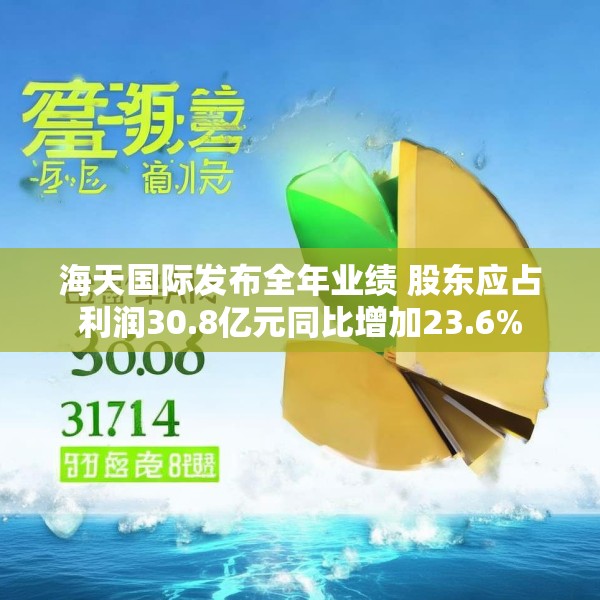 海天国际发布全年业绩 股东应占利润30.8亿元同比增加23.6%